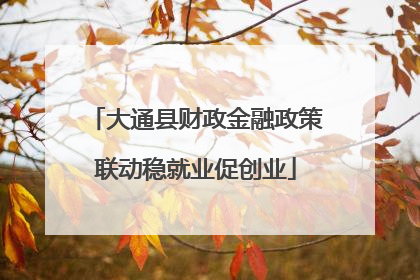 大通县财政金融政策联动稳就业促创业