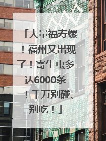 大量福寿螺！福州又出现了！寄生虫多达6000条！千万别碰、别吃！