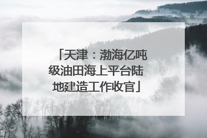 天津：渤海亿吨级油田海上平台陆地建造工作收官
