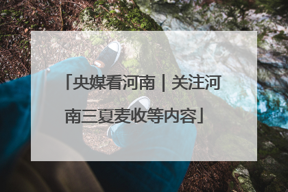 央媒看河南｜关注河南三夏麦收等内容