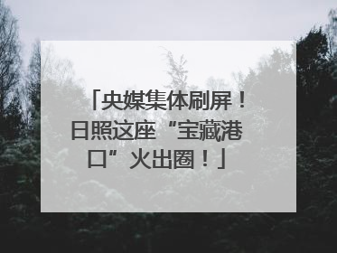 央媒集体刷屏！日照这座“宝藏港口”火出圈！
