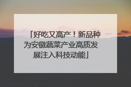 好吃又高产！新品种为安徽蔬菜产业高质发展注入科技动能