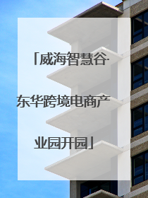 威海智慧谷·东华跨境电商产业园开园