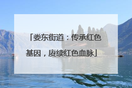 娄东街道：传承红色基因，赓续红色血脉