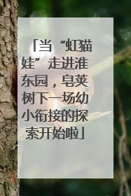 当“虹猫娃”走进淮东园，皂荚树下一场幼小衔接的探索开始啦