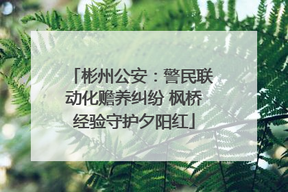 彬州公安：警民联动化赡养纠纷 枫桥经验守护夕阳红