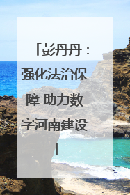 彭丹丹：强化法治保障 助力数字河南建设