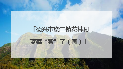 德兴市绕二镇花林村蓝莓“紫”了（图）