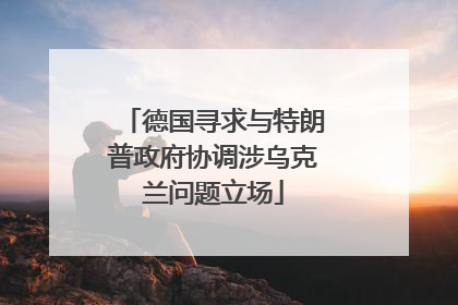 德国寻求与特朗普政府协调涉乌克兰问题立场