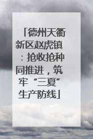 德州天衢新区赵虎镇：抢收抢种同推进，筑牢“三夏”生产防线
