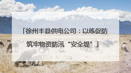徐州丰县供电公司：以练促防 筑牢物资防汛“安全堤”