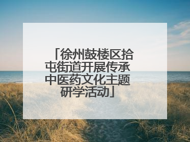 徐州鼓楼区拾屯街道开展传承中医药文化主题研学活动