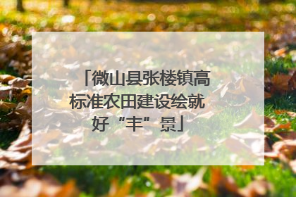 微山县张楼镇高标准农田建设绘就好“丰”景