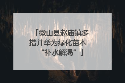 微山县赵庙镇多措并举为绿化苗木“补水解渴”