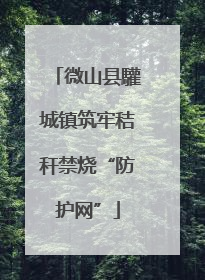 微山县驩城镇筑牢秸秆禁烧“防护网”