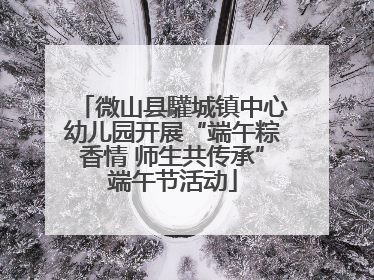 微山县驩城镇中心幼儿园开展“端午粽香情 师生共传承”端午节活动