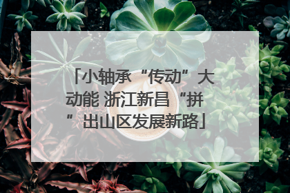 小轴承“传动”大动能 浙江新昌“拼”出山区发展新路