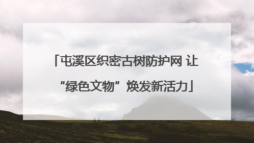 屯溪区织密古树防护网 让“绿色文物”焕发新活力