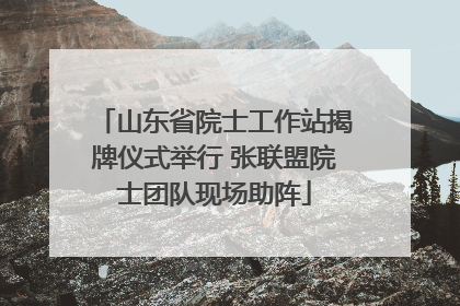 山东省院士工作站揭牌仪式举行 张联盟院士团队现场助阵