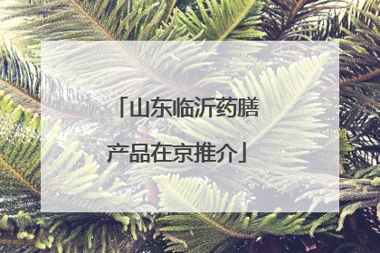 山东临沂药膳产品在京推介