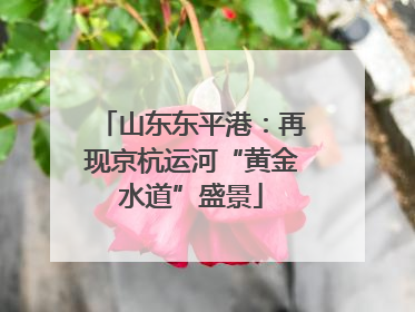 山东东平港:再现京杭运河“黄金水道”盛景