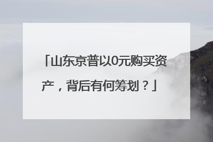山东京普以0元购买资产，背后有何筹划？
