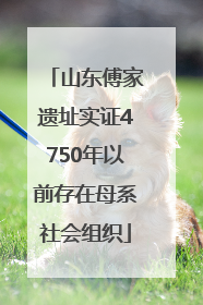 山东傅家遗址实证4750年以前存在母系社会组织