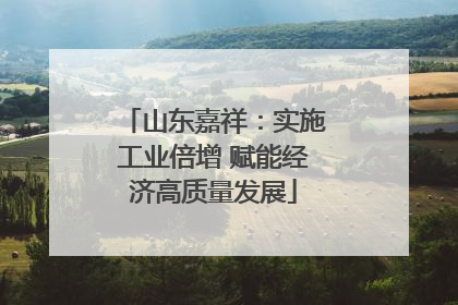 山东嘉祥：实施工业倍增 赋能经济高质量发展