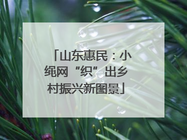 山东惠民：小绳网“织”出乡村振兴新图景