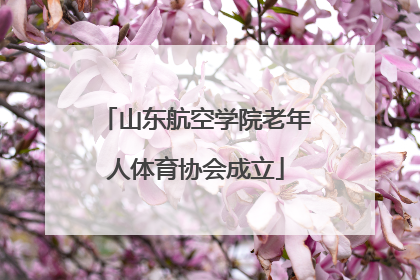 山东航空学院老年人体育协会成立
