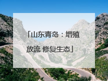 山东青岛：增殖放流 修复生态