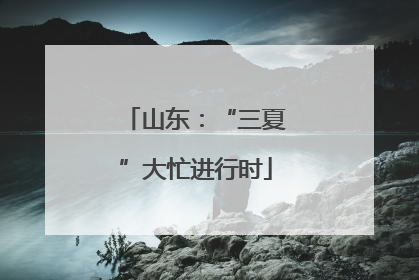 山东：“三夏”大忙进行时
