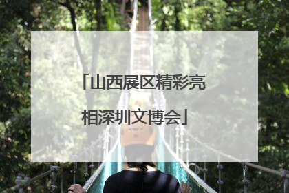 山西展区精彩亮相深圳文博会
