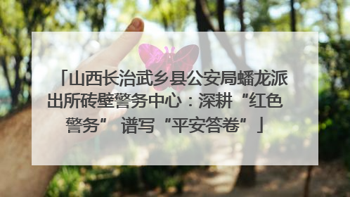 山西长治武乡县公安局蟠龙派出所砖壁警务中心：深耕“红色警务” 谱写“平安答卷”