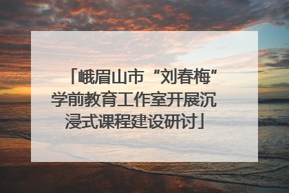 峨眉山市“刘春梅”学前教育工作室开展沉浸式课程建设研讨