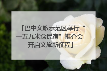 巴中文旅示范区举行“一五九米仓民宿”推介会 开启文旅新征程