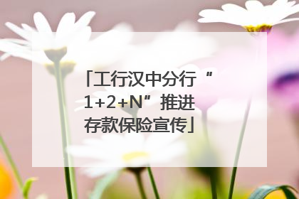 工行汉中分行“1+2+N”推进存款保险宣传