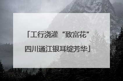 工行浇灌“致富花” 四川通江银耳绽芳华
