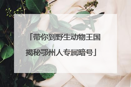带你到野生动物王国揭秘鄂州人专属暗号
