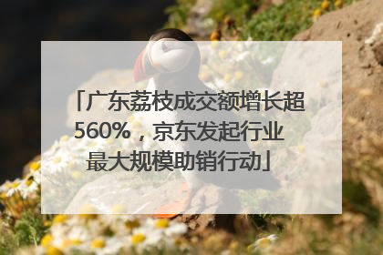 广东荔枝成交额增长超560%，京东发起行业最大规模助销行动