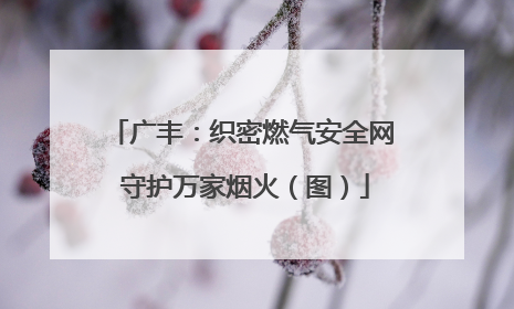 广丰：织密燃气安全网 守护万家烟火（图）