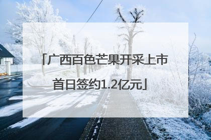 广西百色芒果开采上市 首日签约1.2亿元