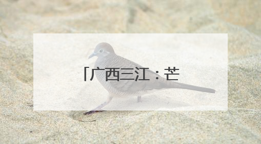 广西三江：芒种将至荷花艳