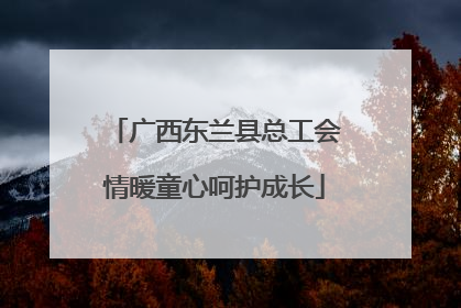 广西东兰县总工会情暖童心呵护成长