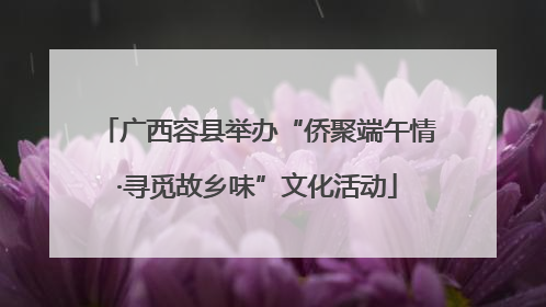 广西容县举办“侨聚端午情·寻觅故乡味”文化活动