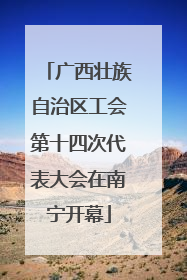 广西壮族自治区工会第十四次代表大会在南宁开幕
