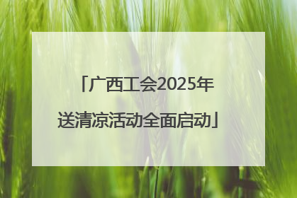 广西工会2025年送清凉活动全面启动