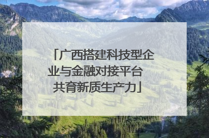 广西搭建科技型企业与金融对接平台 共育新质生产力