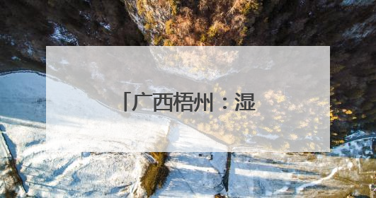 广西梧州：湿地公园夏景美