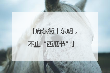 府东街丨东明，不止“西瓜节”